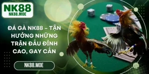 Đá Gà Nk88