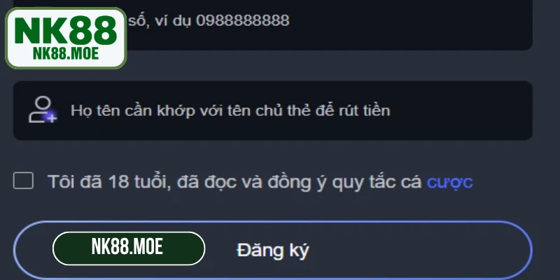 Những lưu ý khi game thủ đăng ký NK8